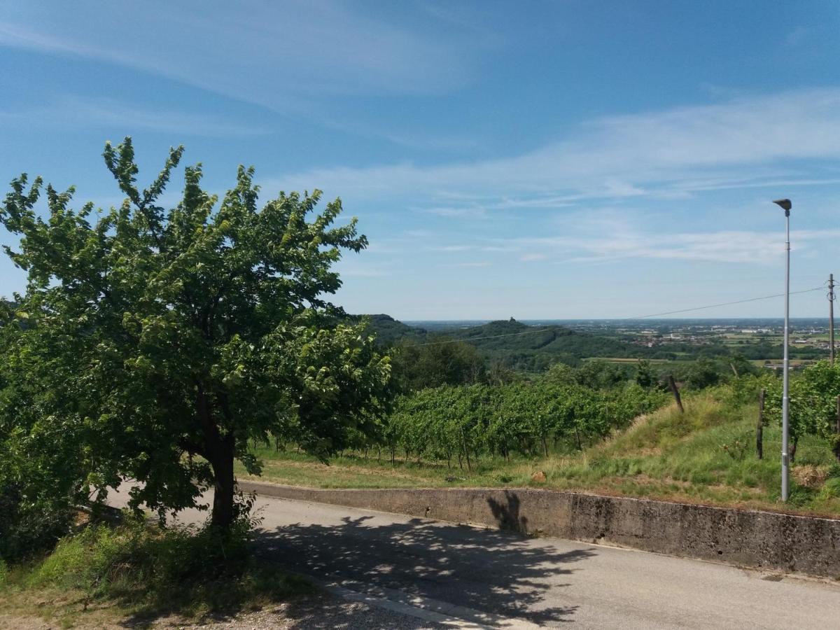 Agriturismo Casa Delle Rose Winery Ruttàrs エクステリア 写真