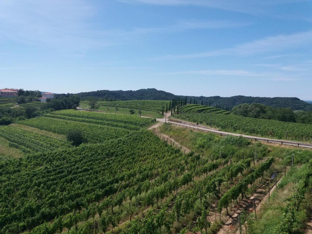Agriturismo Casa Delle Rose Winery Ruttàrs エクステリア 写真