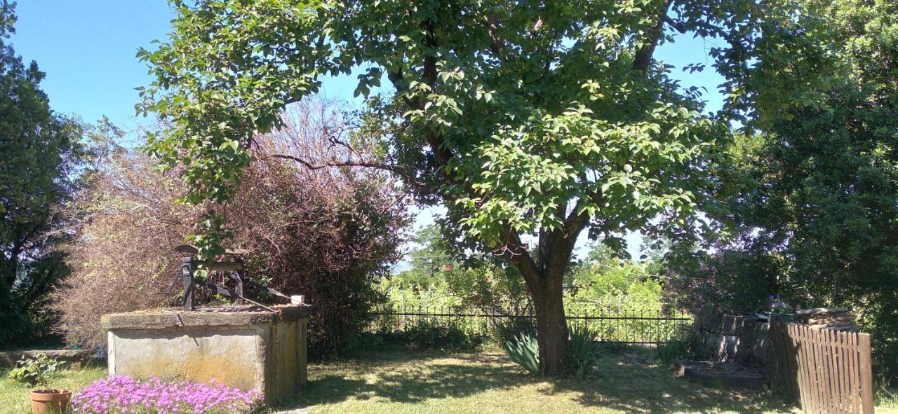 Agriturismo Casa Delle Rose Winery Ruttàrs エクステリア 写真