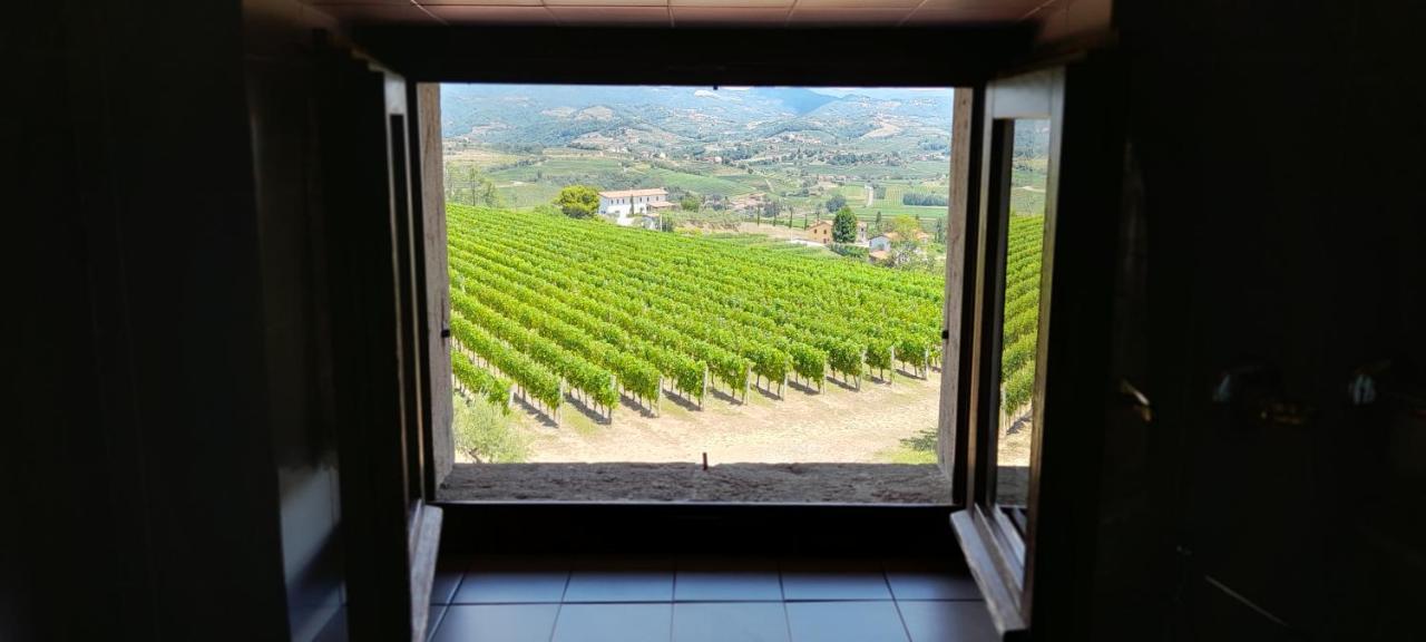 Agriturismo Casa Delle Rose Winery Ruttàrs エクステリア 写真