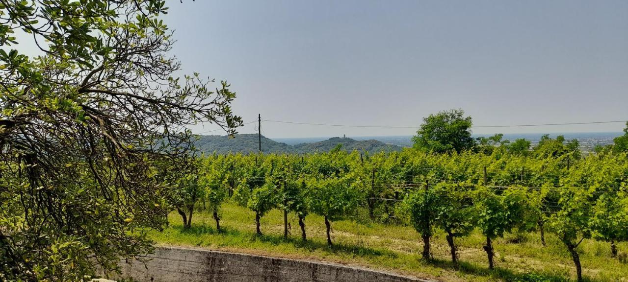 Agriturismo Casa Delle Rose Winery Ruttàrs エクステリア 写真