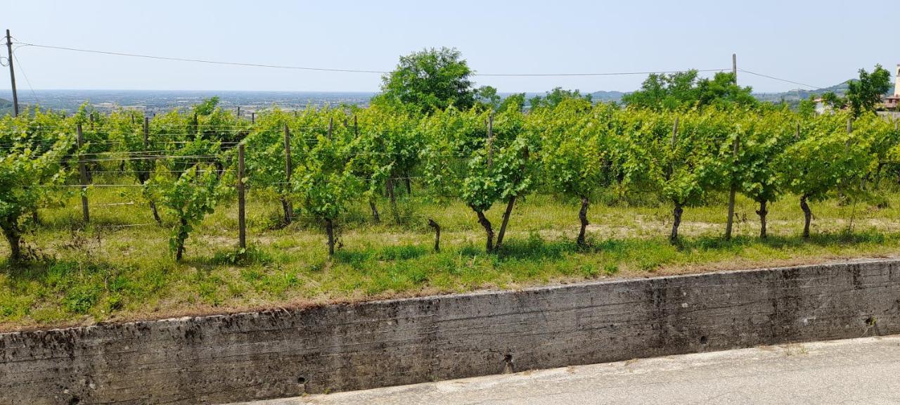 Agriturismo Casa Delle Rose Winery Ruttàrs エクステリア 写真
