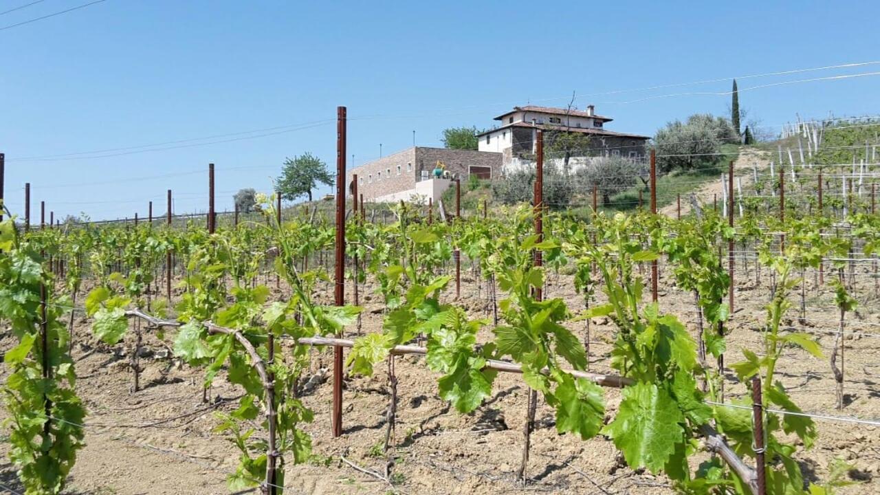 Agriturismo Casa Delle Rose Winery Ruttàrs エクステリア 写真