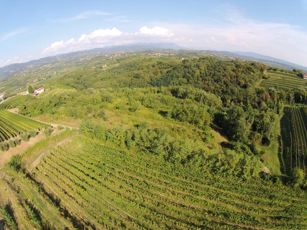 Agriturismo Casa Delle Rose Winery Ruttàrs エクステリア 写真