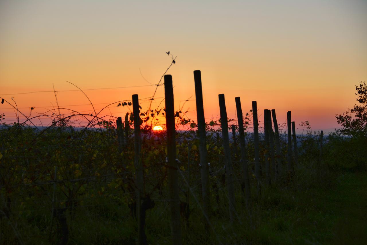 Agriturismo Casa Delle Rose Winery Ruttàrs エクステリア 写真