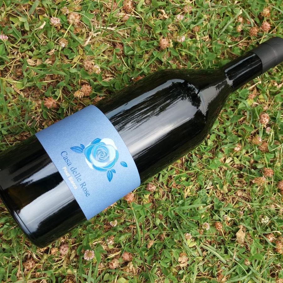 Agriturismo Casa Delle Rose Winery Ruttàrs エクステリア 写真